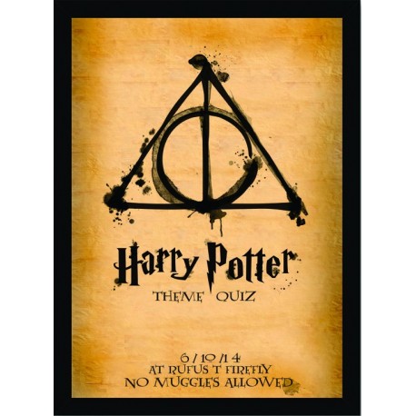 Quadro Poster Harry Potter 4330