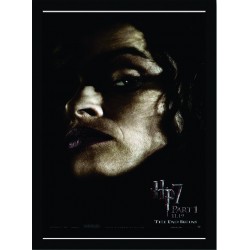 Quadro Poster Harry Potter 4333