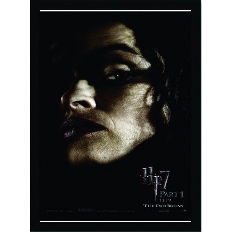Quadro Poster Harry Potter 4333