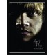 Quadro Poster Harry Potter 4334