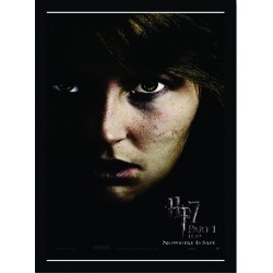 Quadro Poster Harry Potter 4335