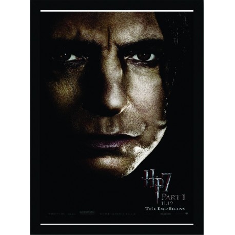 Quadro Poster Harry Potter 4336