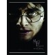 Quadro Poster Harry Potter 4337
