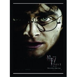 Quadro Poster Harry Potter 4337