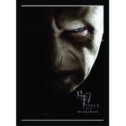 Quadro Poster Harry Potter 4338