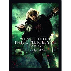 Quadro Poster Harry Potter 4339