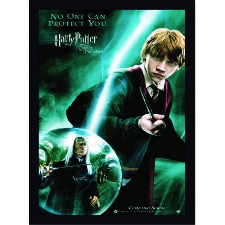Quadro Poster Harry Potter 4340