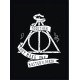 Quadro Poster Harry Potter 4341
