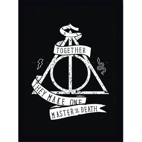 Quadro Poster Harry Potter 4341