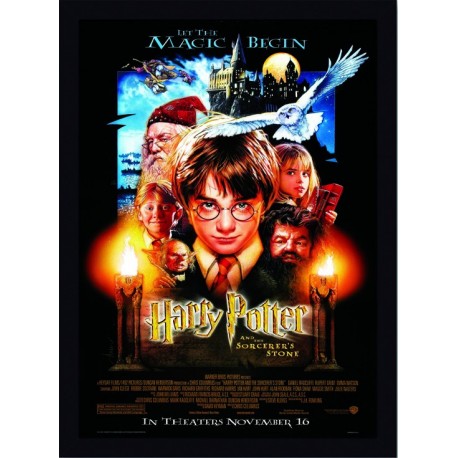 Quadro Poster Harry Potter 4342