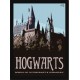 Quadro Poster Harry Potter 4344