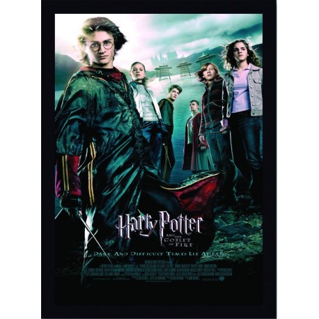 Quadro Poster Harry Potter 4345