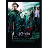 Quadro Poster Harry Potter 4345