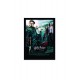 Quadro Poster Harry Potter 4345