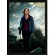 Quadro Poster Harry Potter 4347