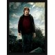 Quadro Poster Harry Potter 4348