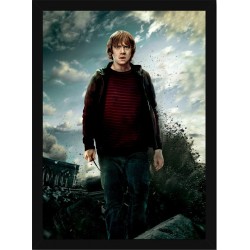 Quadro Poster Harry Potter 4348