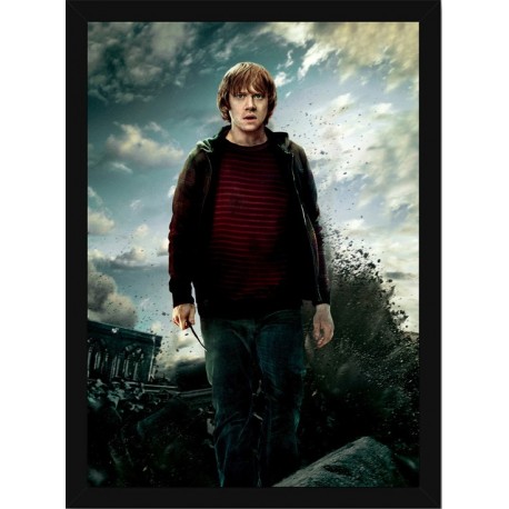 Quadro Poster Harry Potter 4348