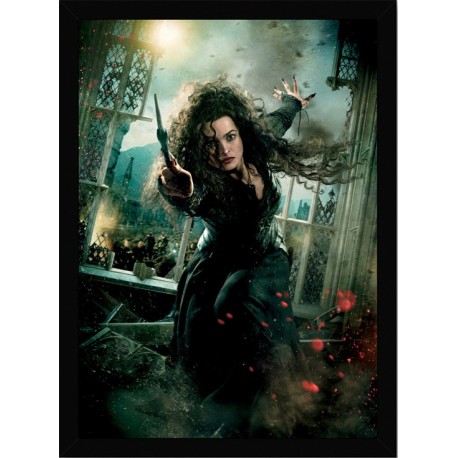 Quadro Poster Harry Potter 4349