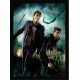 Quadro Poster Harry Potter 4350