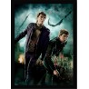 Quadro Poster Harry Potter 4350