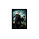 Quadro Poster Harry Potter 4350