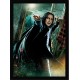Quadro Poster Harry Potter 4351