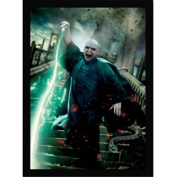 Quadro Poster Harry Potter 4352