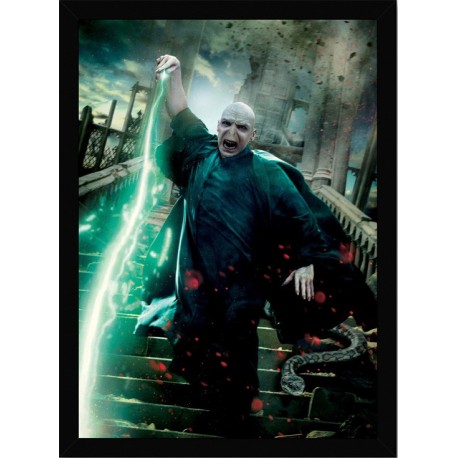 Quadro Poster Harry Potter 4352