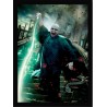 Quadro Poster Harry Potter 4352