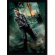 Quadro Poster Harry Potter 4354