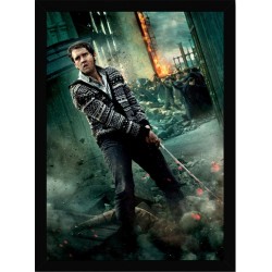 Quadro Poster Harry Potter 4354