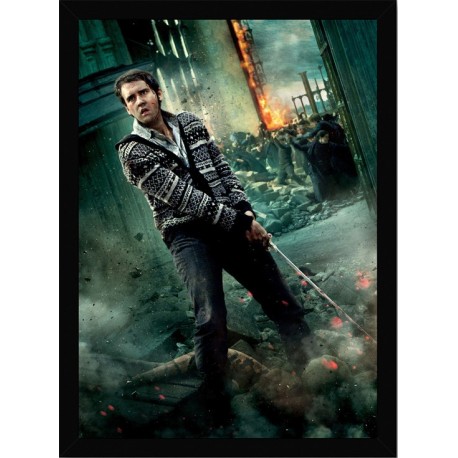 Quadro Poster Harry Potter 4354