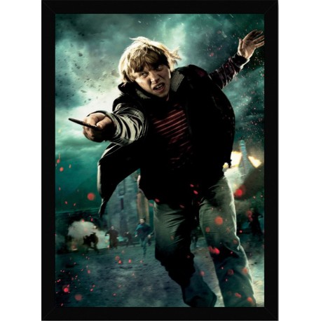 Quadro Poster Harry Potter 4355