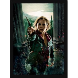 Quadro Poster Harry Potter 4356
