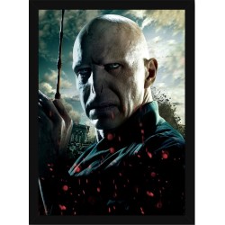Quadro Poster Harry Potter 4357