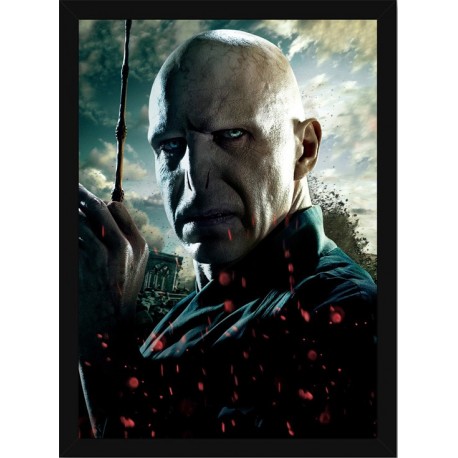 Quadro Poster Harry Potter 4357