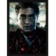 Quadro Poster Harry Potter 4358