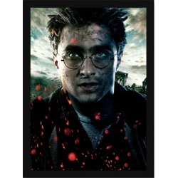Quadro Poster Harry Potter 4358