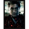 Quadro Poster Harry Potter 4358