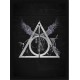 Quadro Poster Harry Potter 4359