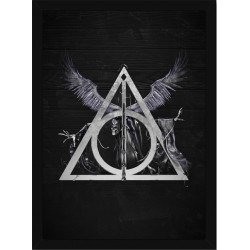 Quadro Poster Harry Potter 4359
