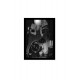 Quadro Poster Harry Potter 4360