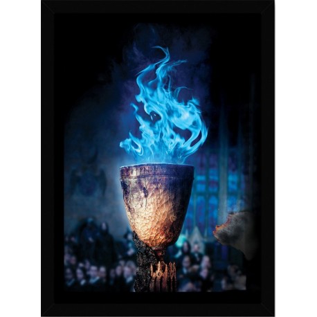 Quadro Poster Harry Potter 4361