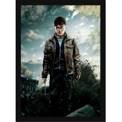 Quadro Poster Harry Potter 4362