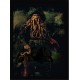 Quadro Poster Piratas do Caribe 4370