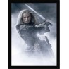 Quadro Poster Piratas do Caribe 4387
