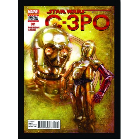 Quadro Poster Star Wars 4404