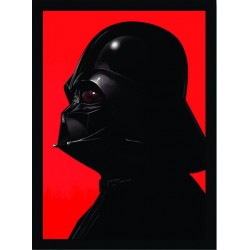 Quadro Poster Star Wars 4406