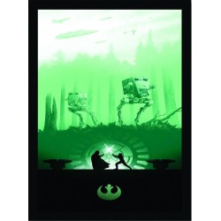 Quadro Poster Star Wars 4424